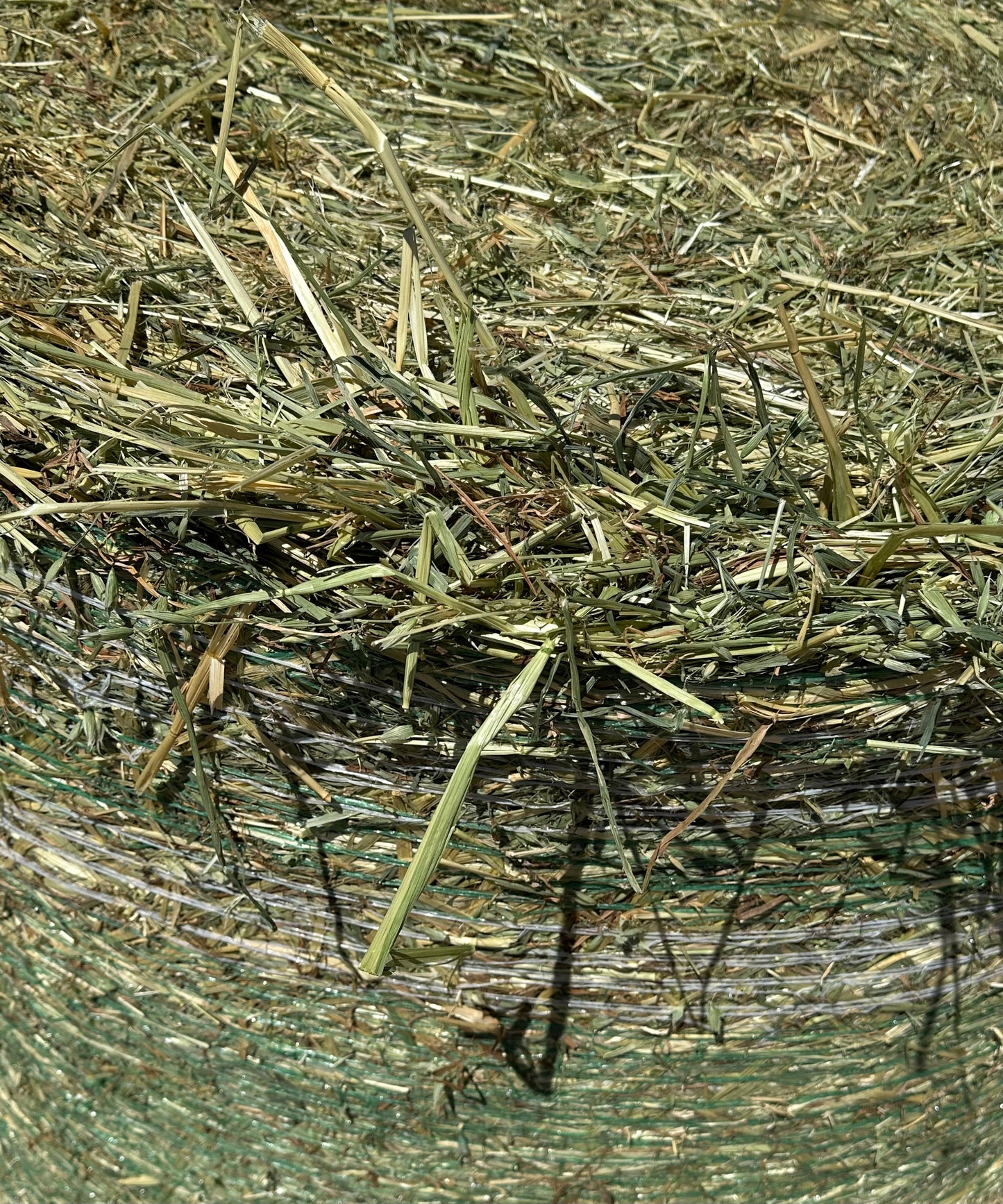 Oaten Round Bales