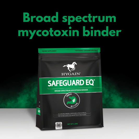 Hygain Safeguard EQ