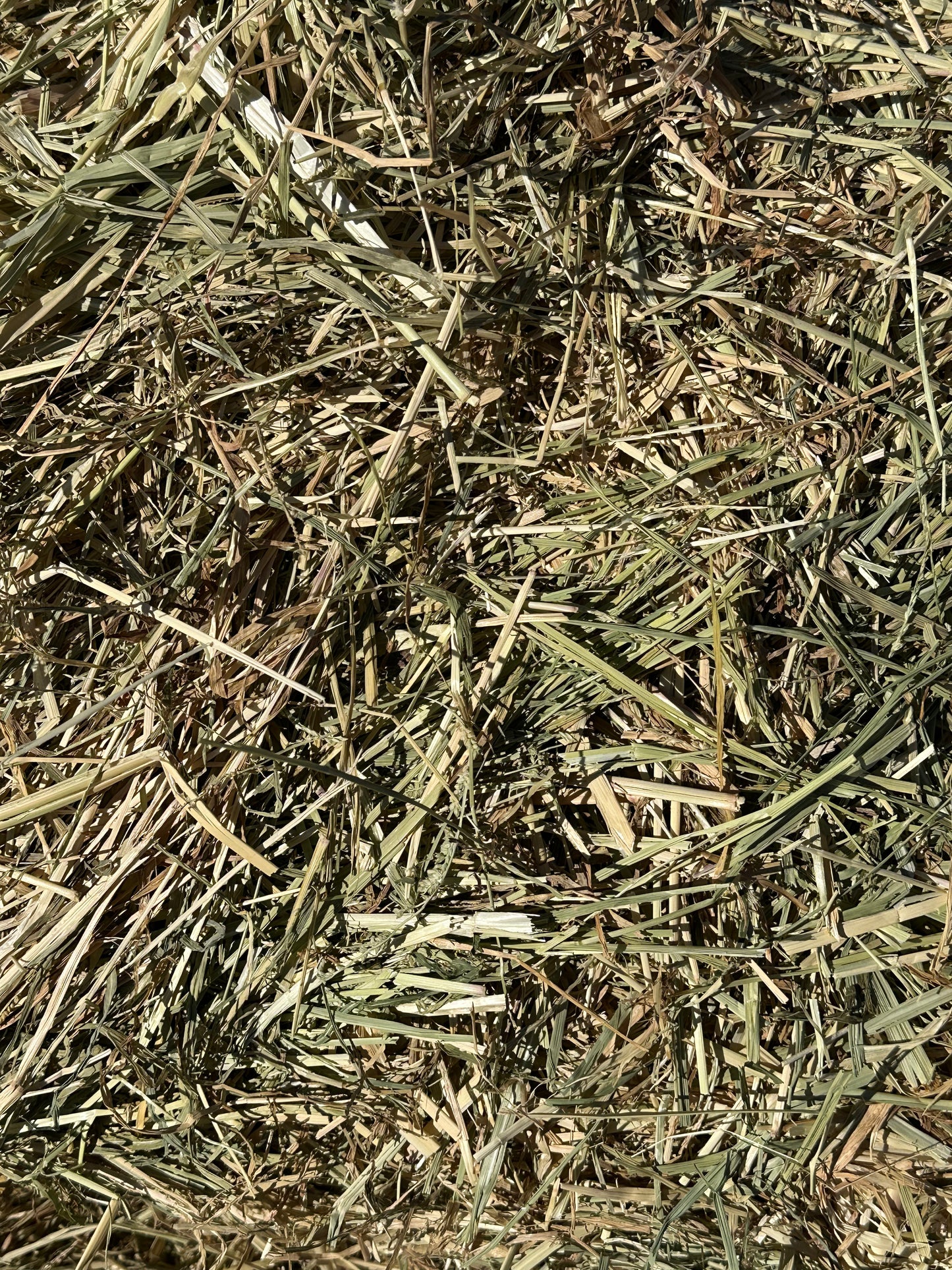 Rhodes hay