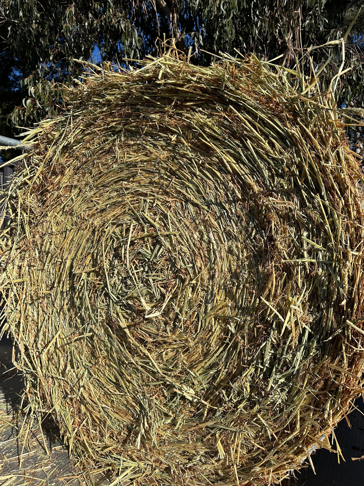 Wheaten Round Bales 4x4 ( Inc delivery)
