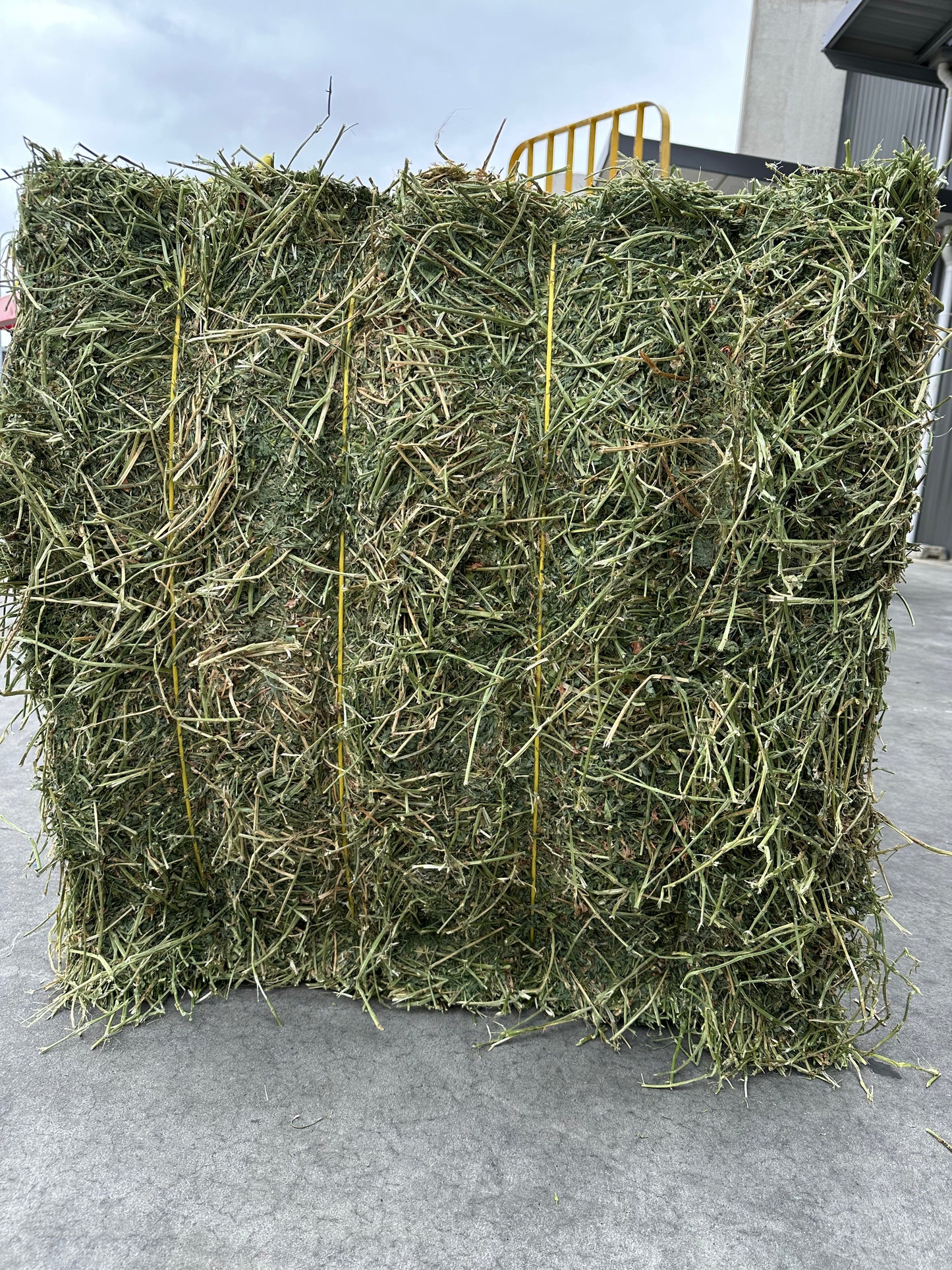 Large Lucerne Square Bales 8x3x3 (delivered)