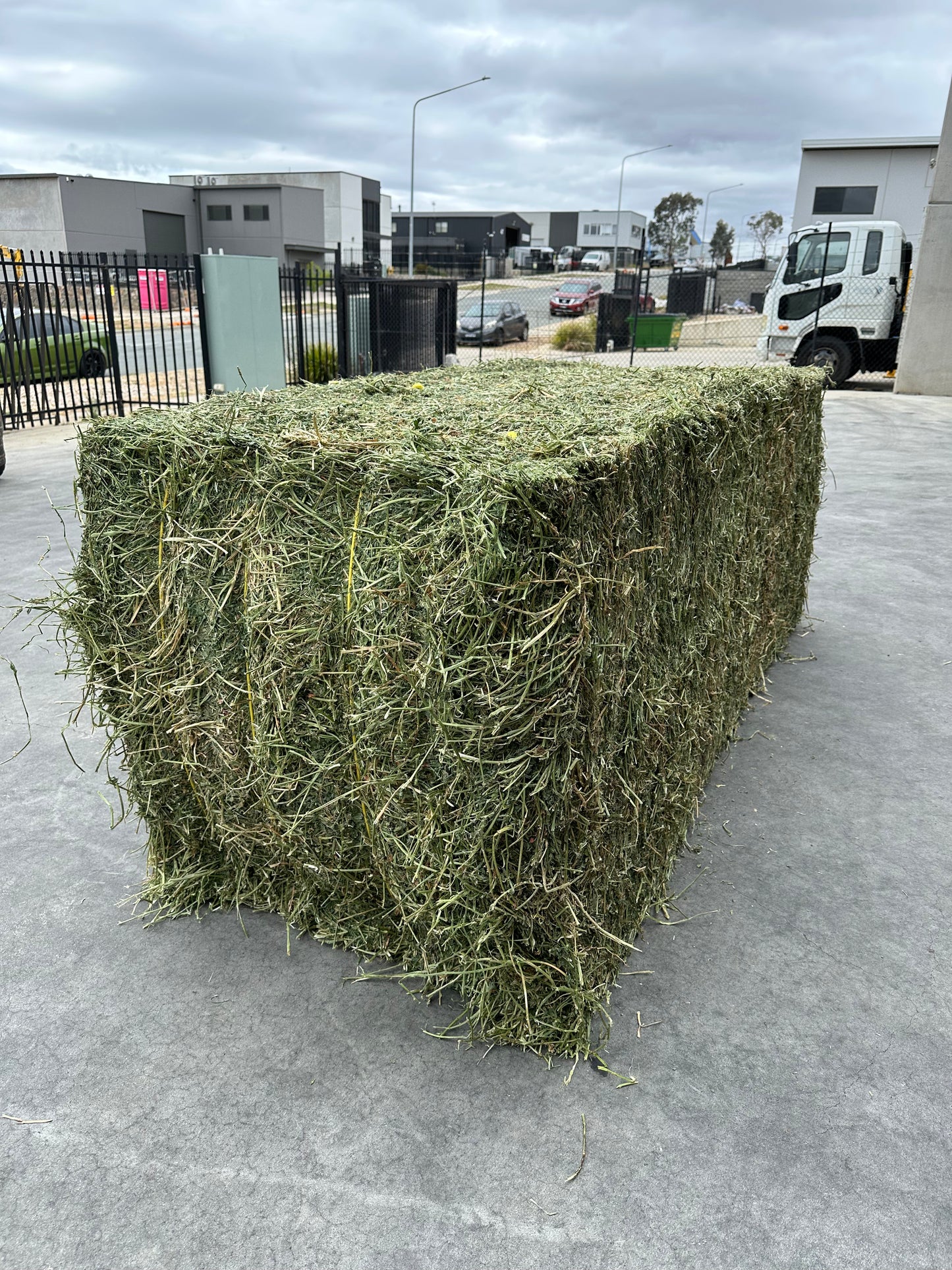 Large Lucerne Square Bales 8x3x3 (delivered)