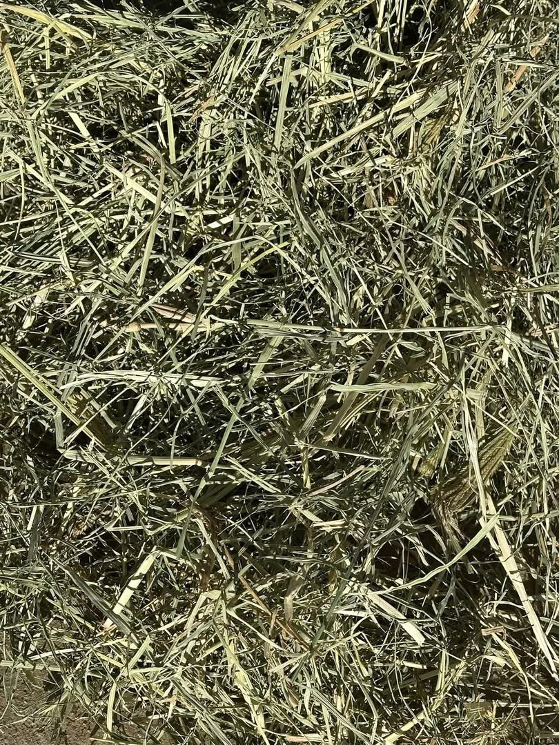 Rhodes Hay - Pickup only (limit of 6 per customer) just baled