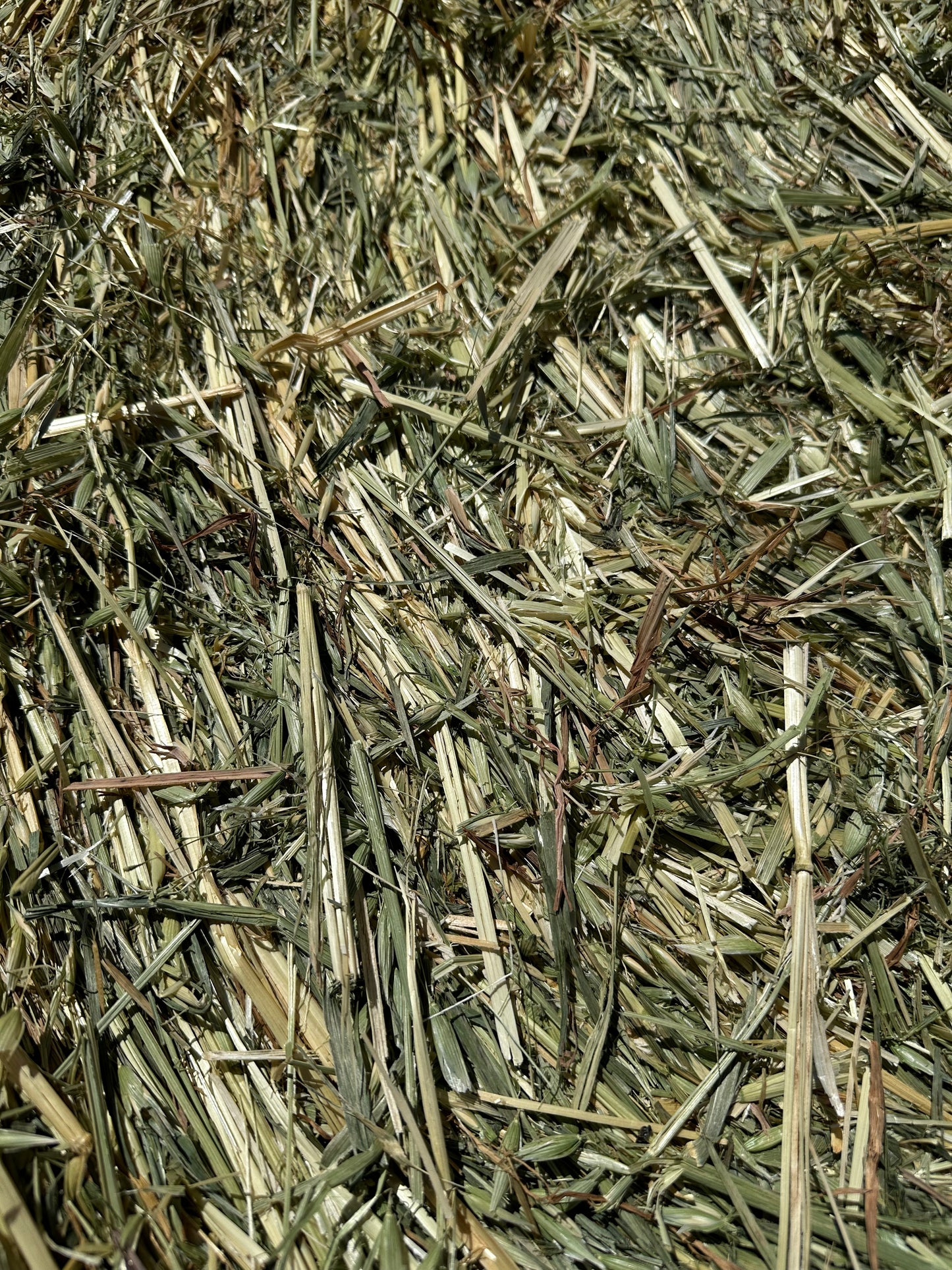 Oaten Round Bales