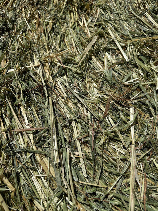 Oaten Round Bales