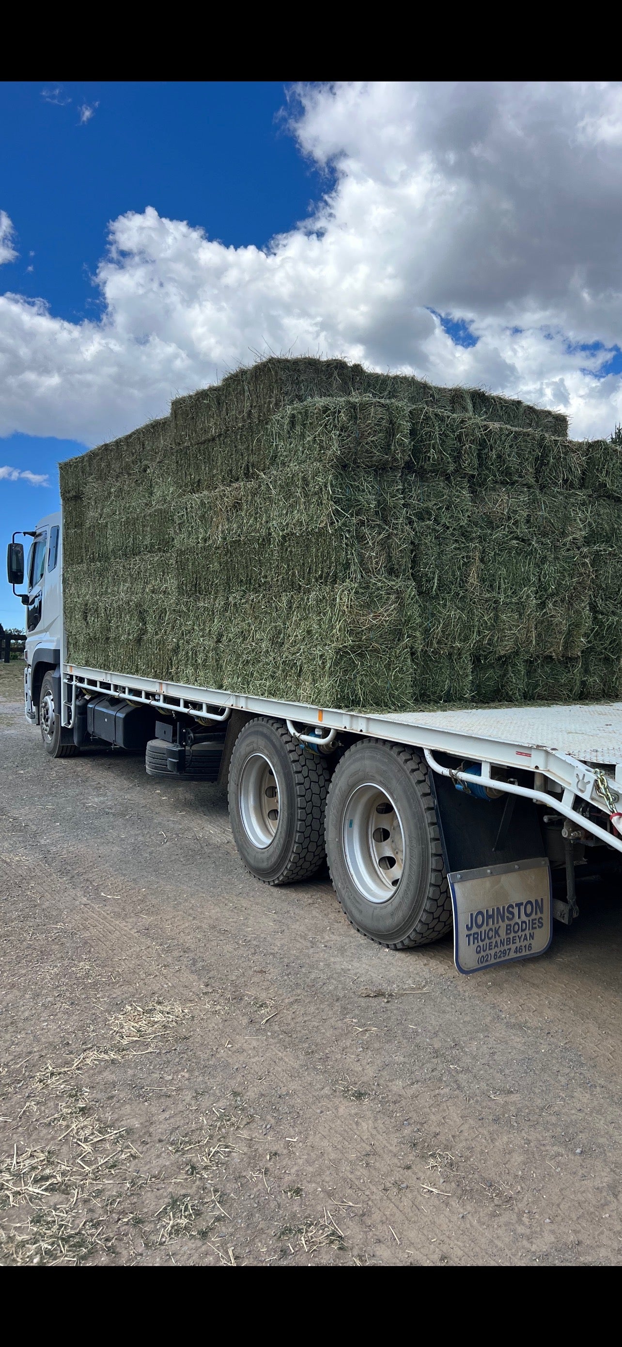 2nd grade Lucerne Hay