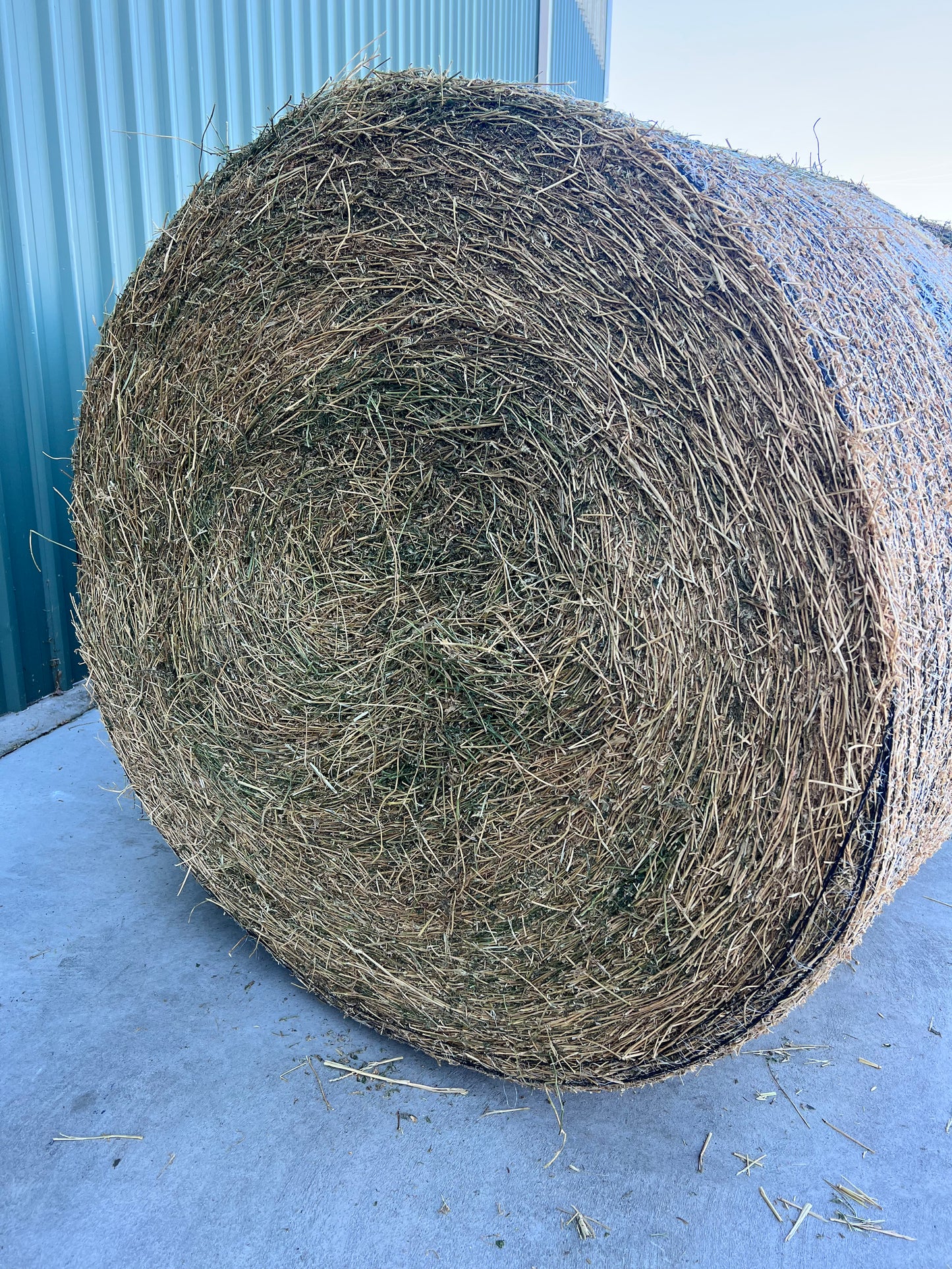 Lucerne Rounds