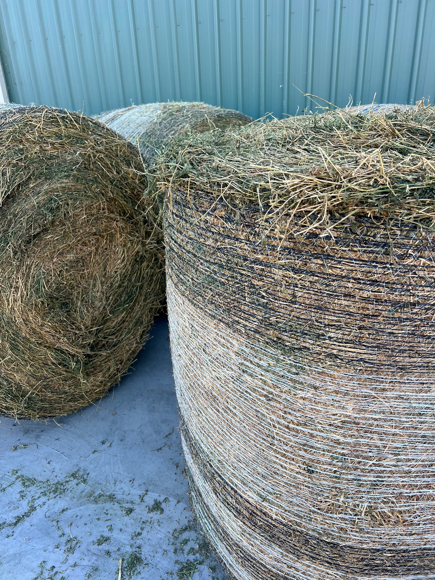 Lucerne Rounds