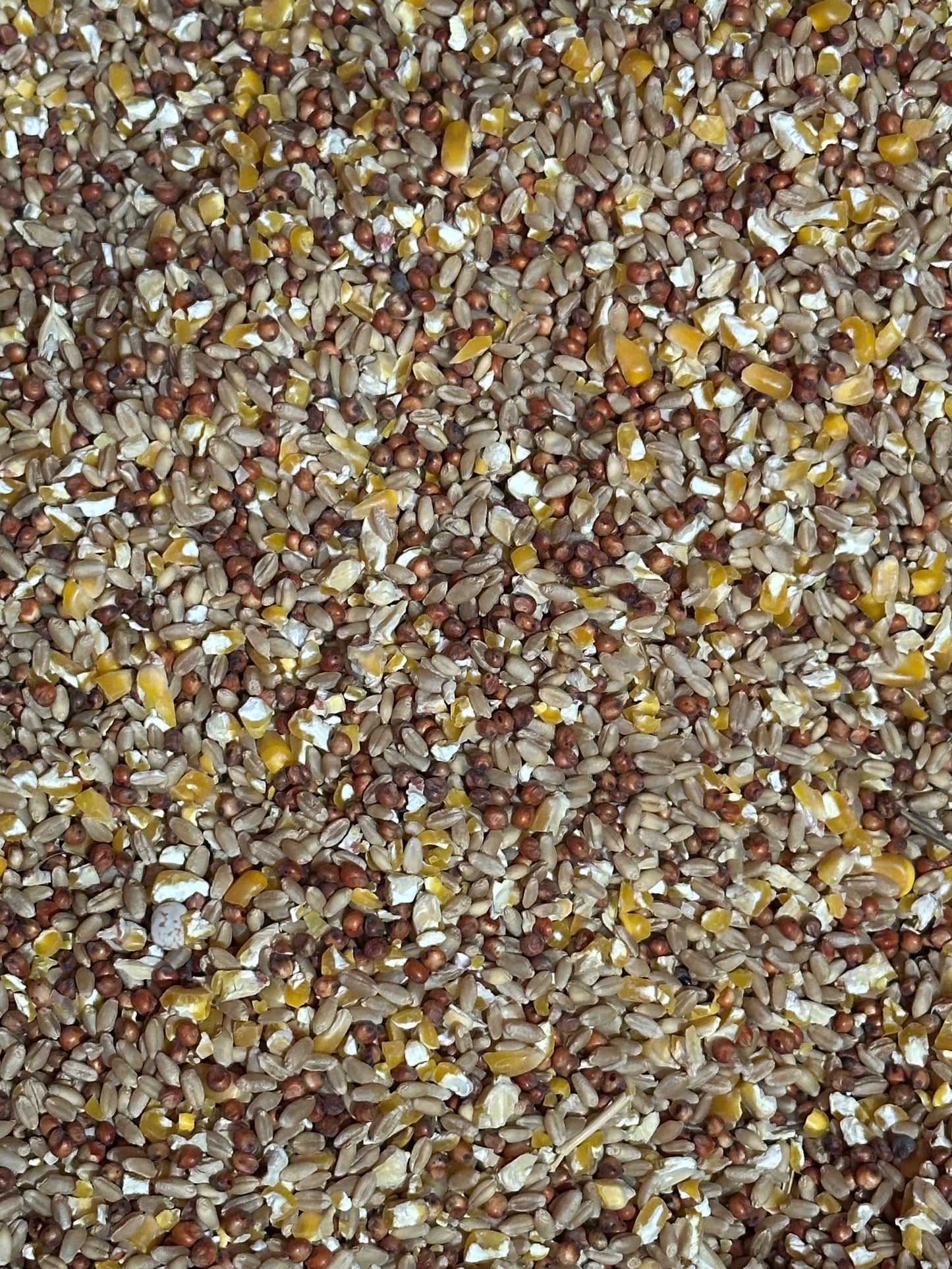 Carol’s chicken blend