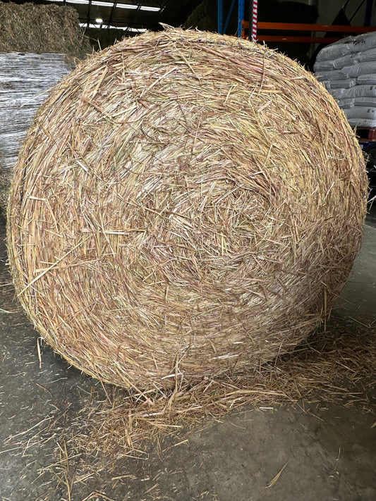 Oaten Round 4x4 (delivered)