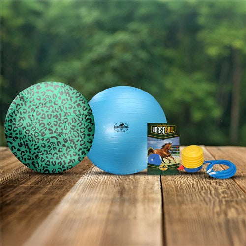 Mega Horse Ball & Cover Set - Cheetah/Turquoise 30"/76CM