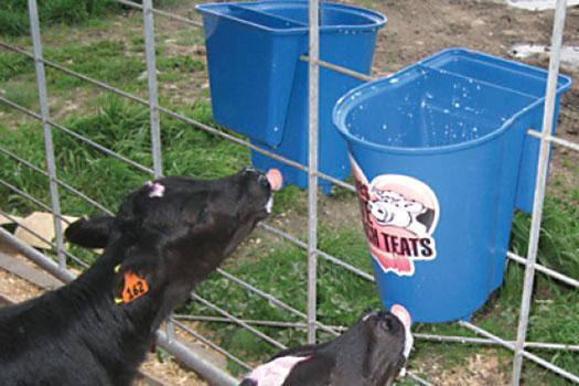 Calf Feeder 6L (Reversible)