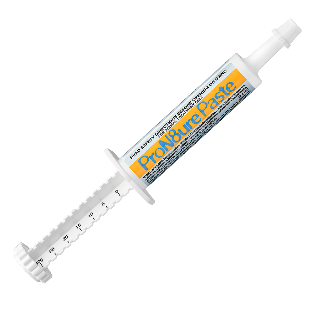 IAH ProN8ure Paste