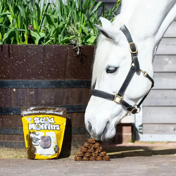 Stud Muffins Treat (3 pack)