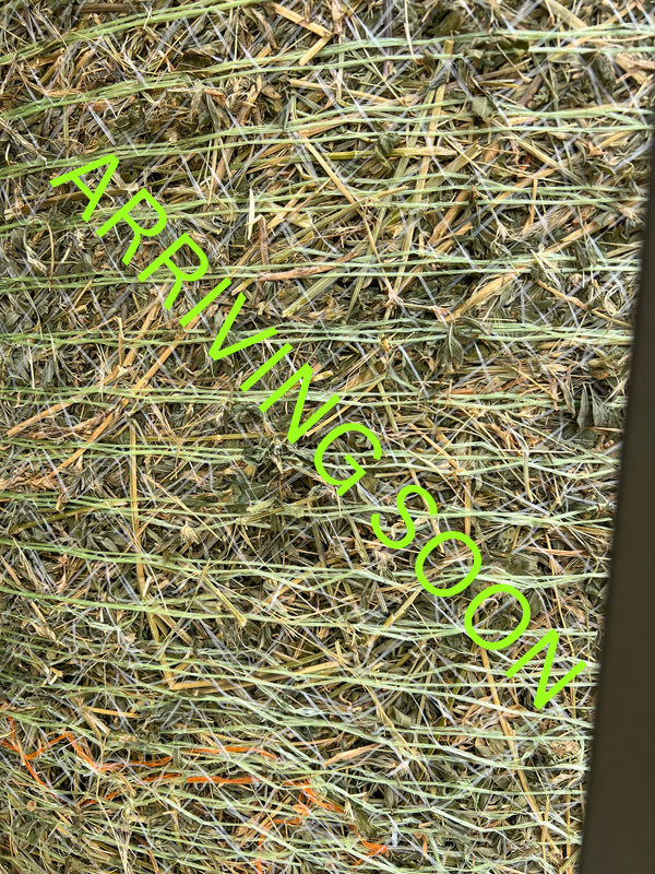 4x4 Lucerne Round Bale