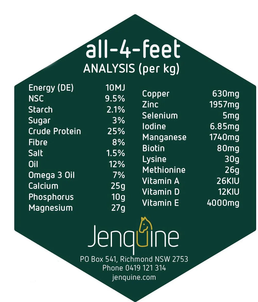 Jenquine All 4 Feet