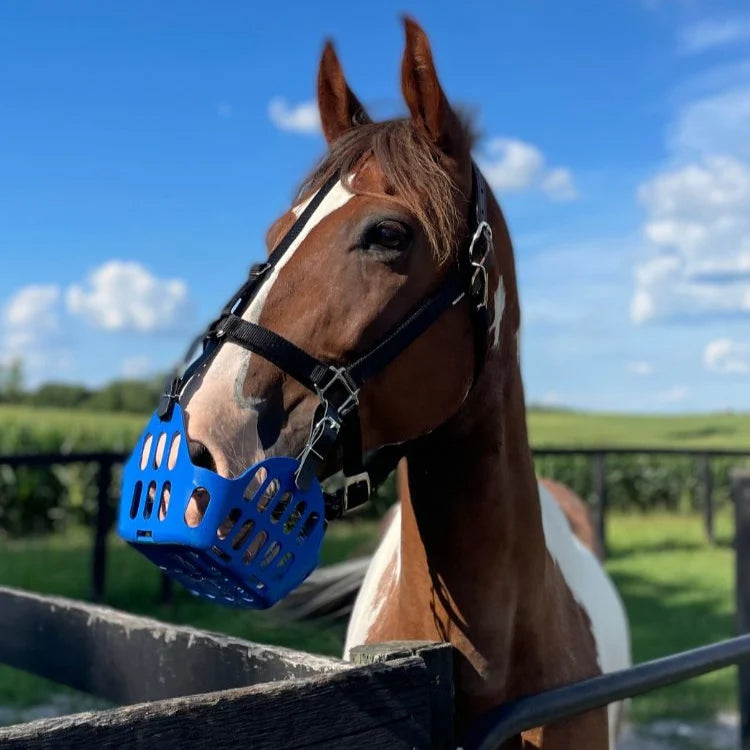 GreenGuard Grazing Muzzle