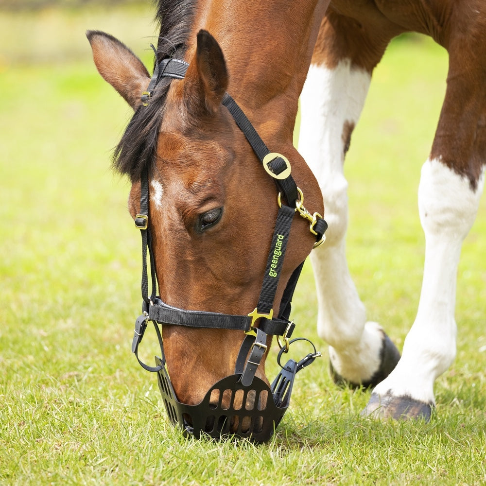 GreenGuard Breakaway Halter