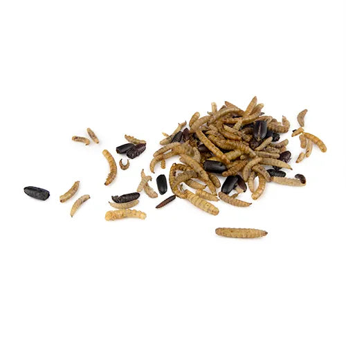 Bainbridge dried bug mix 250g