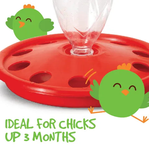 Chick Drinker - Bottle Holder