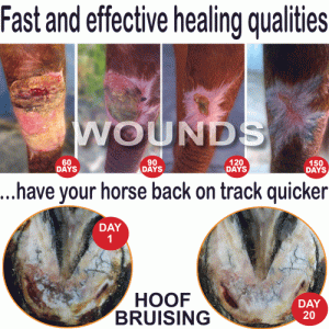 Decron Leg Wrap Poultice