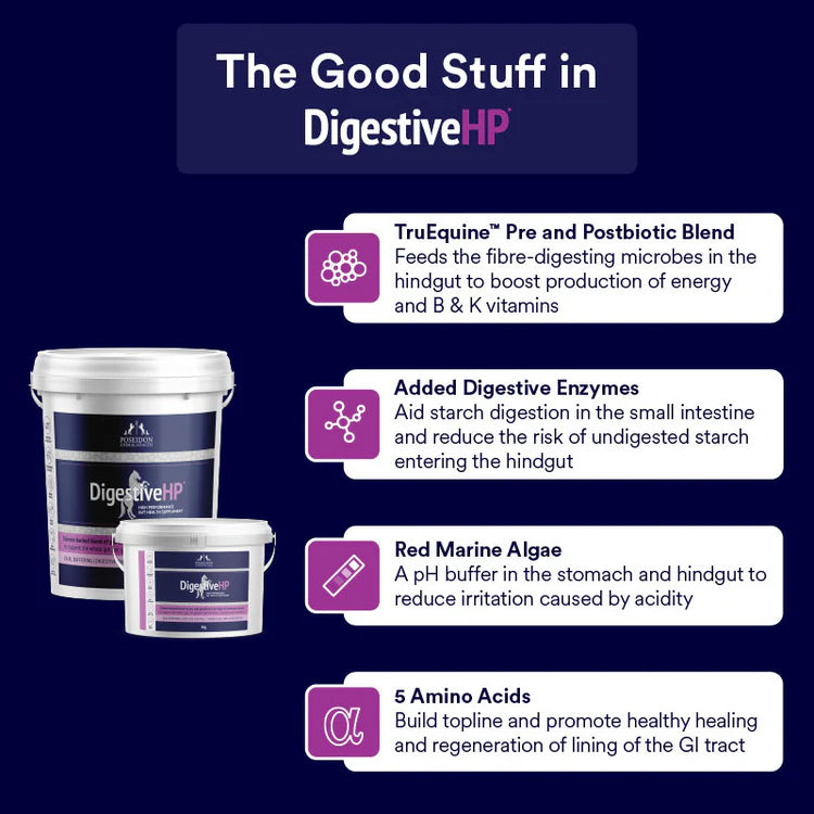 Digestive HP 4kg TUB