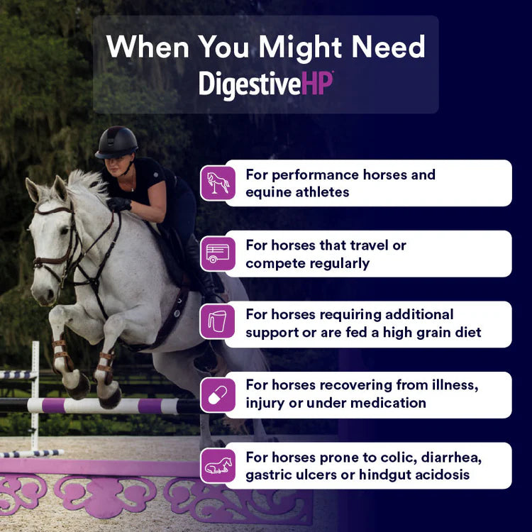 Digestive HP 4kg TUB