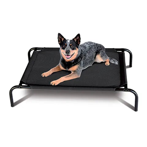 DOG BED - medium