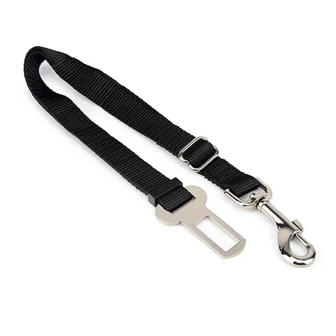 Bainbridge Car Safety Lead