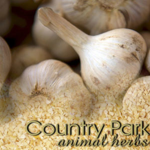 Garlic Granules 1kg