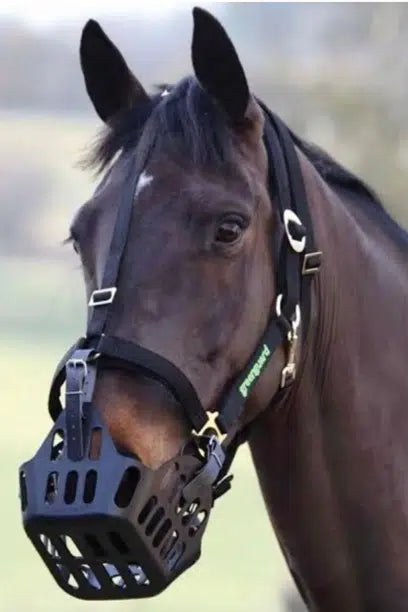 GreenGuard Breakaway Halter