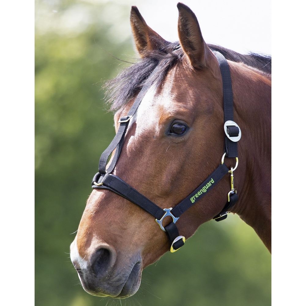 GreenGuard Breakaway Halter