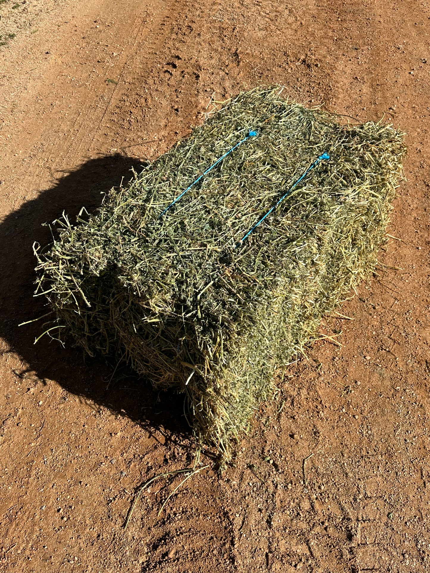 Lucerne Hay Canberra – Bundara Park Stockfeeds