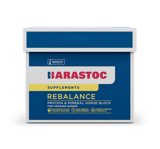 Barastoc Rebalance Horse Block 20kg