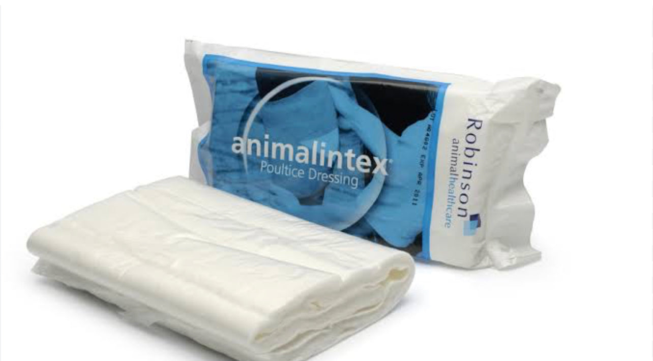 Animalintex Poultice