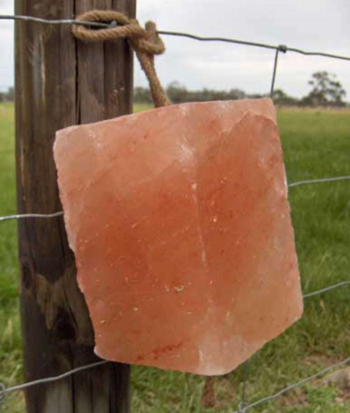 Himalayan Rock Salt Lick on rope 3 kg