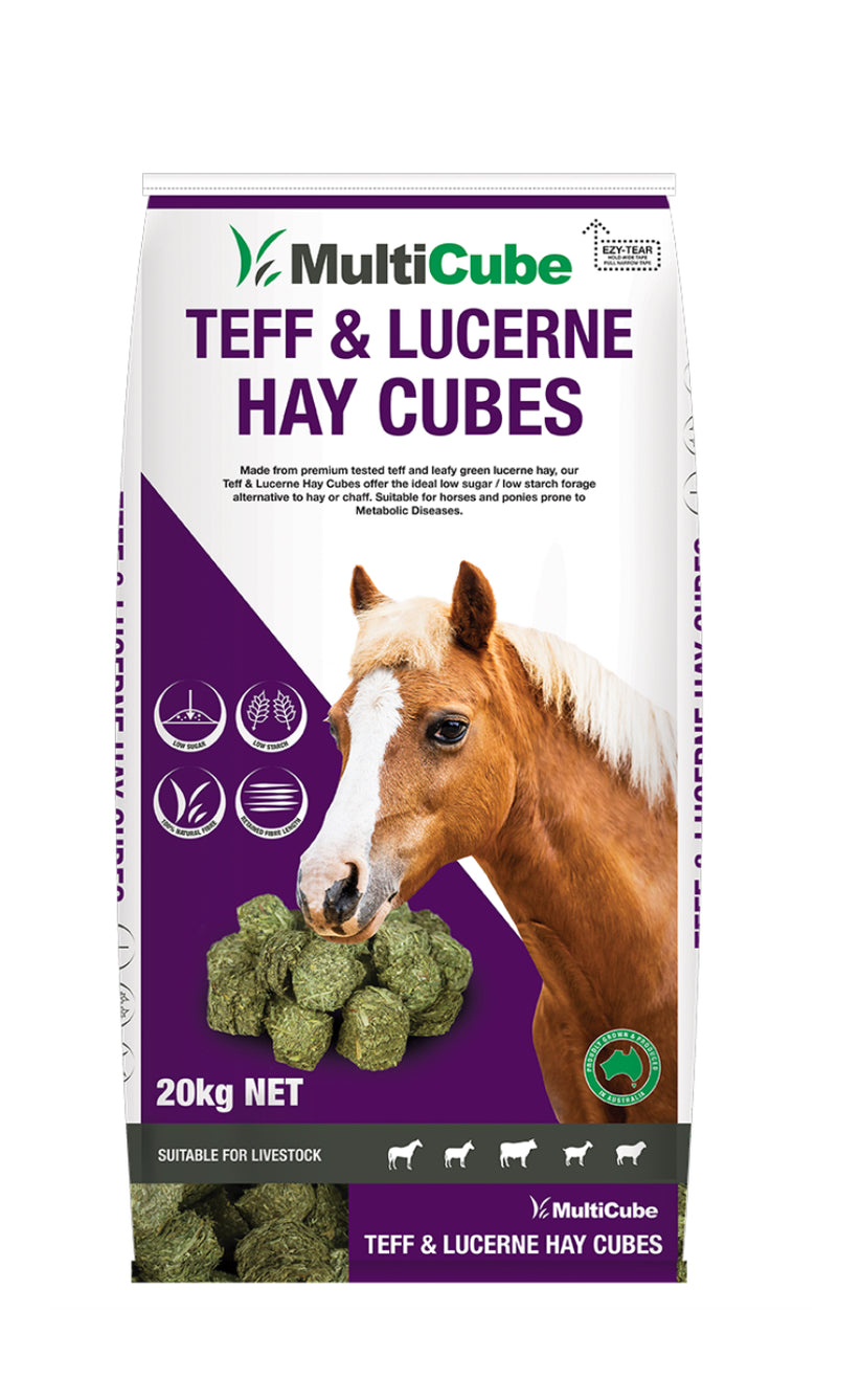 MultiCube Teff & Lucerne Hay Cubes 20kg – Bundara Park Stockfeeds