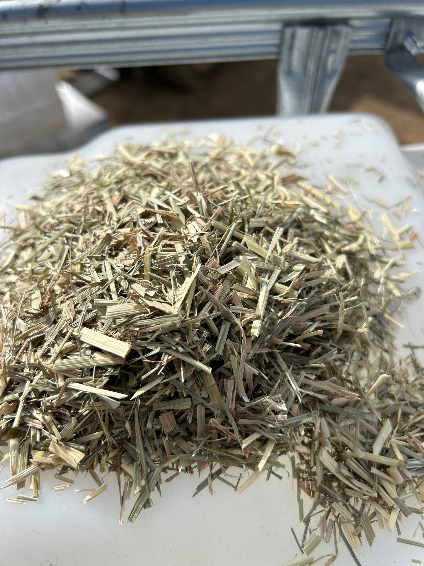 Rich River Tested Rhodes Chaff