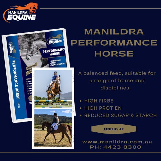 Manildra Performance Horse