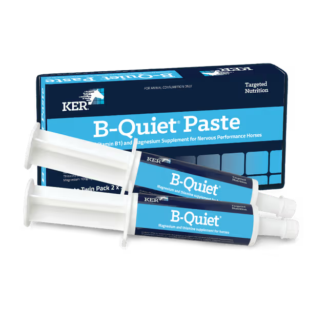 Kentuck B-Quiet Paste Twin Pack (2 x 30g)