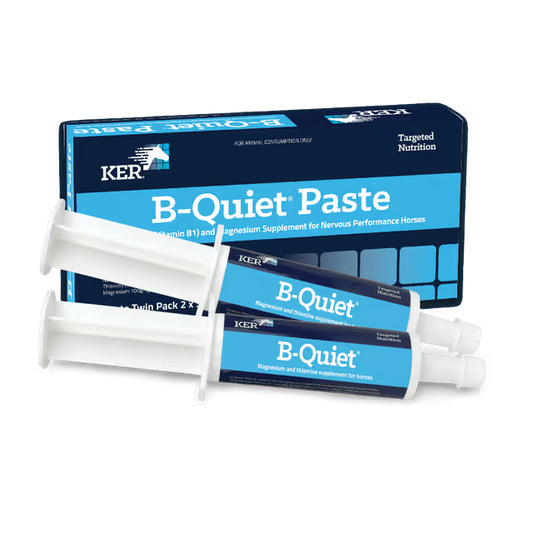 Kentuck B-Quiet Paste Twin Pack (2 x 30g)