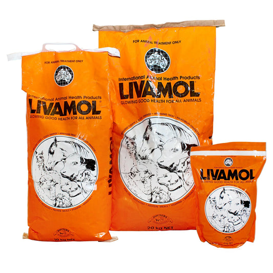 IAH Livamol Coat conditioner