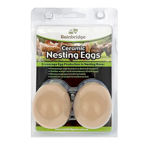 Poultry Nesting Eggs - Ceramic (2 PACK)
