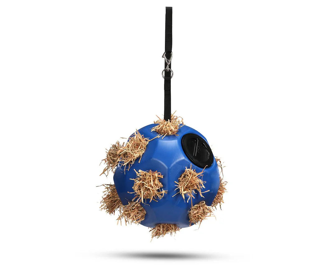 Slow Feed Ball -Horse Toy