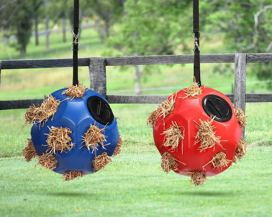 Slow Feed Ball -Horse Toy