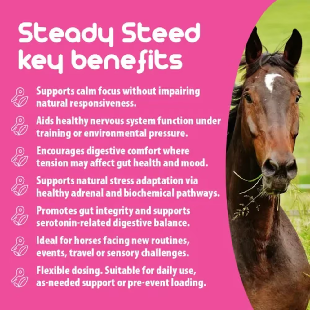 Betavet Steady Steed Liquid