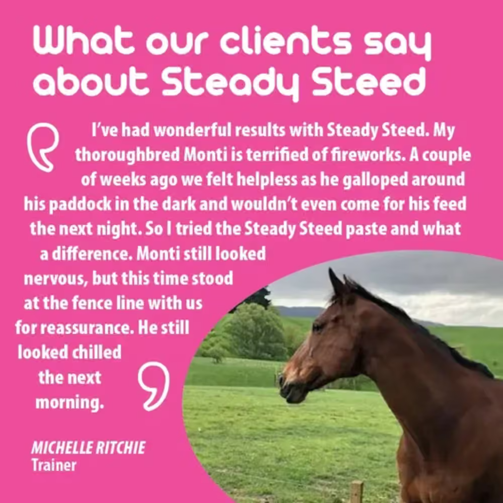 Betavet Steady Steed Liquid