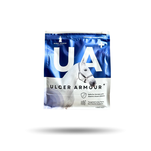 High Horse Ulcer Armour +